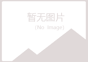 眉山夏岚水泥有限公司